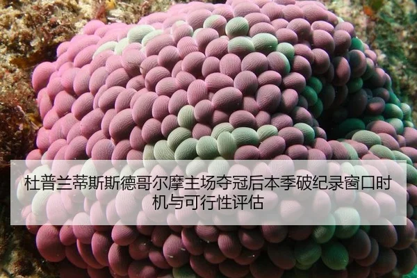 杜普兰蒂斯斯德哥尔摩主场夺冠后本季破纪录窗口时机与可行性评估