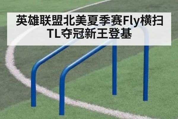 英雄联盟北美夏季赛Fly横扫TL夺冠新王登基