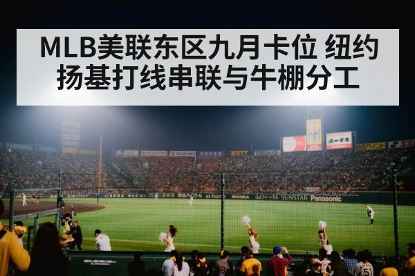baseball stadium night