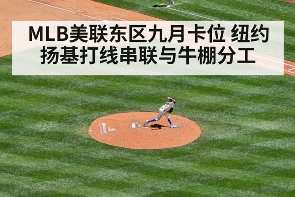 baseball relief pitcher